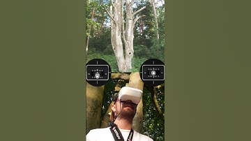 🕹️ FPV Stick Overlay mit Betaflight Blackbox – Stickcam ohne zweite Action Cam! #fpv #fpvdrone