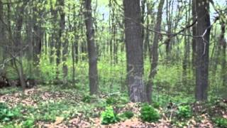 Dodgeville WI Real Estate for Sale