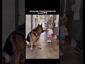 She was crying ❤️🩹🐕| #viral #shorts