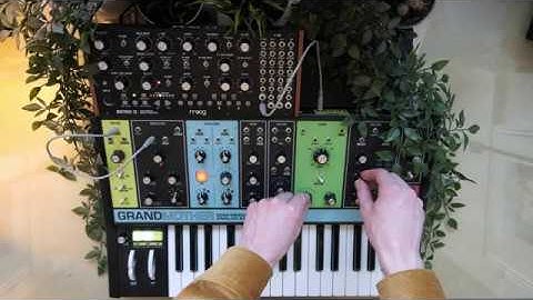 Cascade || Moog Grandmother / Mother 32 / Valhalla VintageVerb / Ableton Echo
