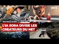 Lia gnrative de vidos sora divise les crateurs du net  rtbf info