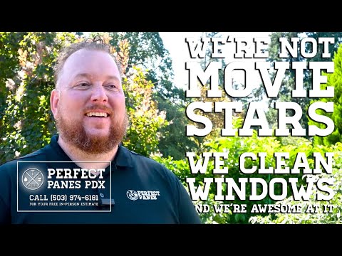 We're Not Movie Stars, We're Window Cleaners! (And We're Awesome at It!) 🎬😅