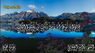 حالات واتس ـ سورة هود الاية (81) - الشيخ | راشد العفاسي