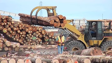 Cat 966G front end loader with grapple attachment moving logs
