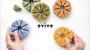 EVIVE NUTRITION  |  OUR STORY