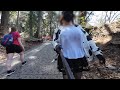 高尾山ハイキング