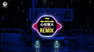 卢润泽 - 心似烟火 (DJ卡点节奏版) Tâm Tựa Pháo Hoa (Remix Tiktok) - Lư Nhuận Trạch