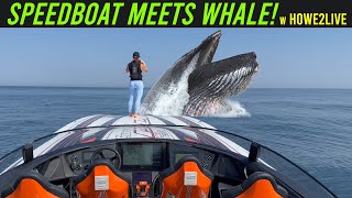 Speedboat meets whale - a Howe2Live episode - MTI 440X
