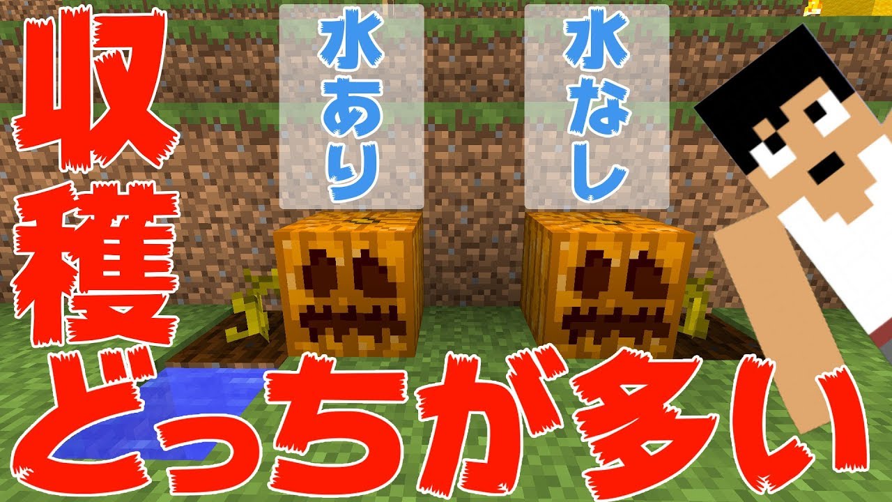 カズクラ 検証 かぼちゃ水ありなしでどっちが収穫多いの マイクラ実況 Part167 Youtube