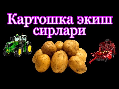 Video: Orqa Tarafdagi Traktor Uchun O'z-o'zidan Ekish Mashinasi: Uy Qurilishi Kartoshka Ekuvchilarining Xususiyatlari. Ekish O'lchamlari. Chizmalarga Ko'ra, Sarimsoq Ekishni Qanday Qilish