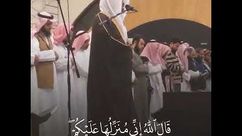 قال عيسى أبن مريم أللهم ربنا ...الشيخ ياسر الدوسري تلاوه بأداء حزين ..من المسجد الدخيل. .رياض
