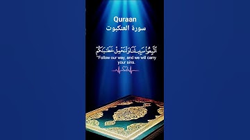 سورة العنكبوت - عبد الرحمن مسعد - قرآن كريم - راحة نفسية