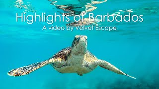 Highlights of Barbados