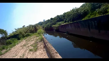 Onde o rio Tamanduateí desagua?