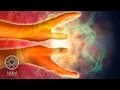 Reiki music for energy flow healing music meditative music for positive energy calming music 31209r