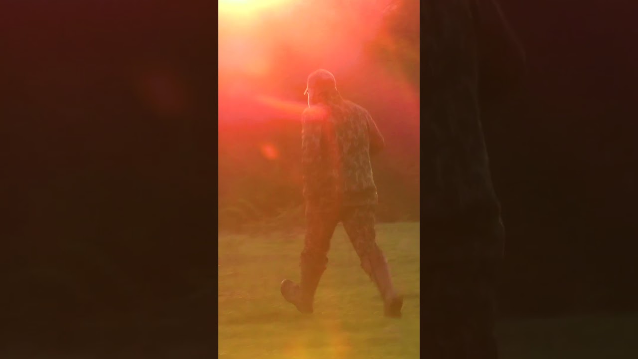 Even The Cows Were Fooled By The AvianX Decoys!