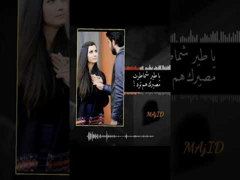 ماوقفت بعينك ايامي والعشره