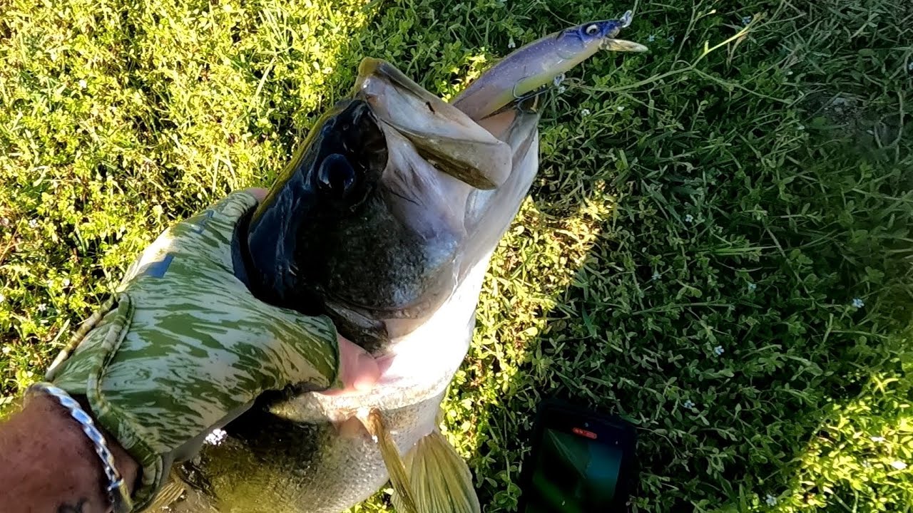 megabass vision 110 bass fishing