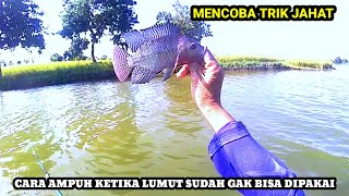 WKB KALI WARU❗TRIK JAHAT KEMBALI BERULAH DI SPOT INI‼️mancing nila waduk kalibening
