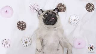 Can Milo Run Your Business Better Than AI?