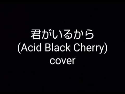君がいるから (Acid Black Cherry)cover