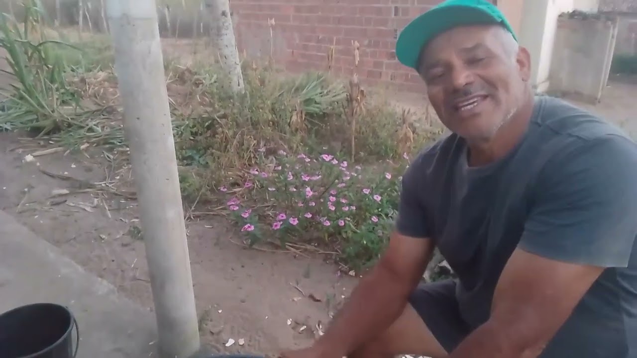 @interiordagente#vidanositio#agro#  preparando a mandioca pra fazer bolo (massa puba)