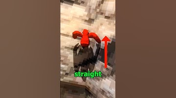 How to Climb WALLS in Gorilla Tag