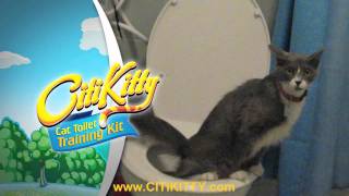 Cat Toilet Training - CitiKitty Success Wealth