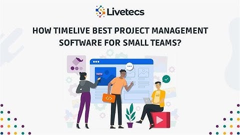 How TimeLive Best Project Management Software for Small Teams? Livetecs