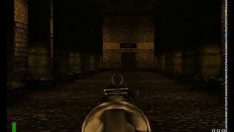 RtCW Remake Mod - Iron Sights Option