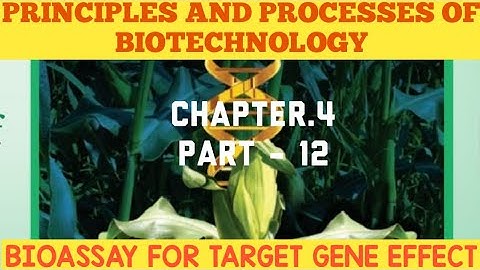 12th bio-botany chapter-4 Principles And Processes Of Biotechnology(BIOASSAY FOR TARGET GENE EFFECT)