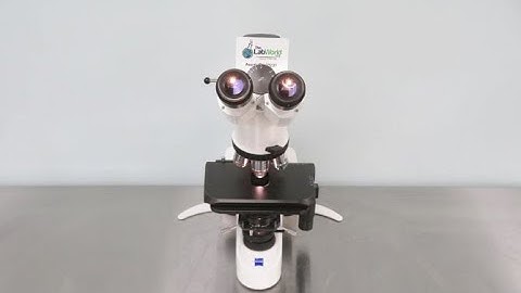 Zeiss AX10 Lab A1 Microscope for Sale