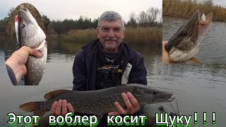 Ловля Щуки !!! Лучший воблер для ловли Щуки в Позднюю осень: Идеальный выбор для Убойной рыбалки!!!