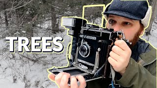 A Hardcore Treetography Photo Hike with My 4x5 Speed Graphic