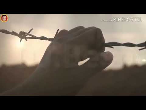 اجمل حالات واتس أب مهرجان بالحب انا عايشها محمد شرقاوي