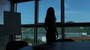 Video Fire detection by Inim