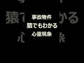 【事故物件】猿でもわかる心霊現象#09
