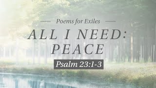 All I Need: Peace // Psalm 23:1-3
