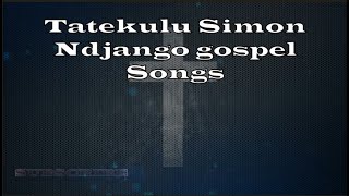 Simon Ndjango gospel songs |Namibian gospel songs| screenshot 4