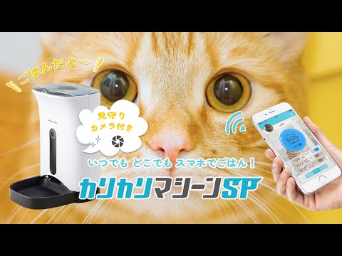 11/17まで カリカリマシーンSP 自動給餌器 猫犬ペットカメラ付