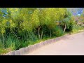 نايضه كلاشات عند شعالين العوافي اللي داروا الفتنة بين العائلات ما بقاو احباب ما بقاو صحاب نايضه كلاشات عند شعالين العوافي اللي داروا الفتنة بين العائلات ما بقاو احباب ما بقاو صحاب