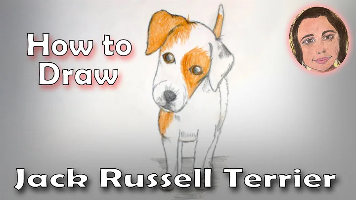 How to Draw Dogs: Jack Russell Terrier Puppy