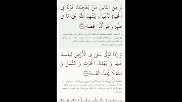 سوره مبارکه بقره آیات ۲۰۳و۲۰۴با معنی گویا گوارای وجودتان #قرآن #قران_كريم #قران #قرآن_كريم #youtube