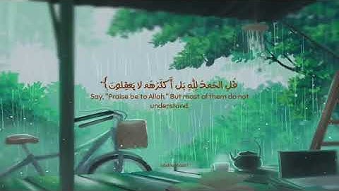 أرح سمعك 😍 حالات واتس اب قران كريم 🌷