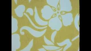 Spongebob Credits - Blank Full Screen