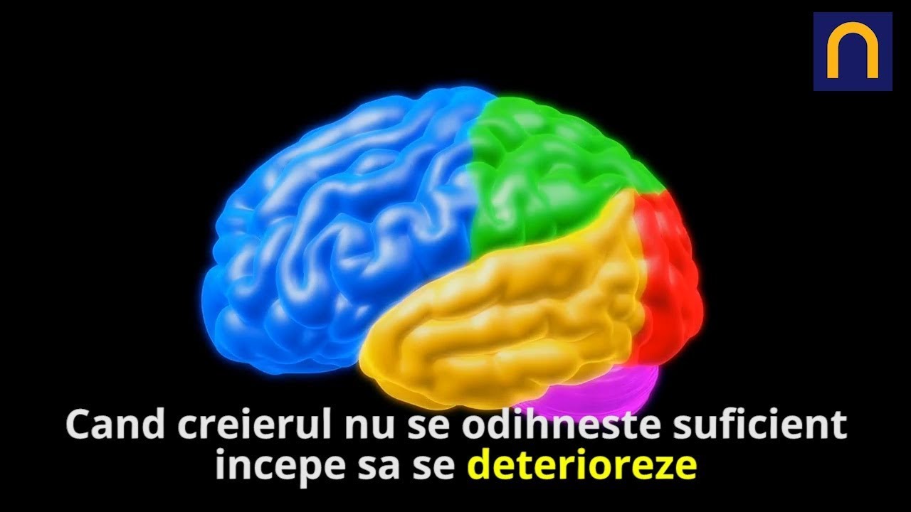 Lucruri Interesante Despre Somn Tu Dormi Suficient Youtube