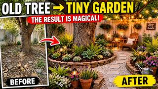 I Built a Tiny Garden Around an Old Tree — The Result Was Magical