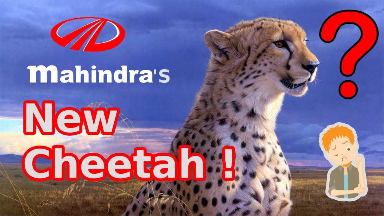 Mahindra's New Cheetah in India | You will be shocked ! - YouTube