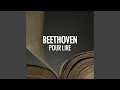 Beethoven sonate pour piano n18 en mi bmol majeur op 31 n3  3 minuet moderato e