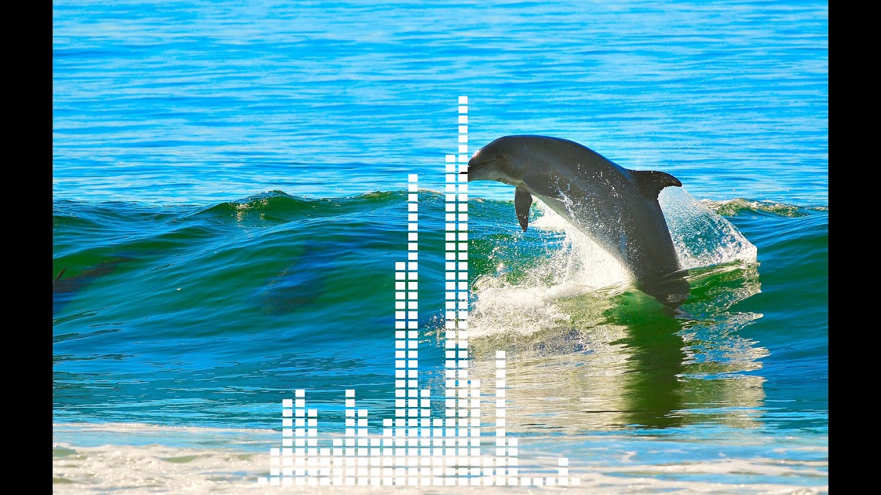 Fushigi no Umi no Nadia OP - Blue Water (acoustic cover)